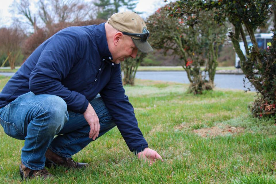 Willoughby examines grasses along road on Port Street.