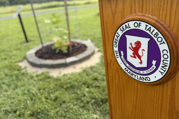 Liberty Tree Takes Root at Frederick Douglass Park on the Tuckahoe