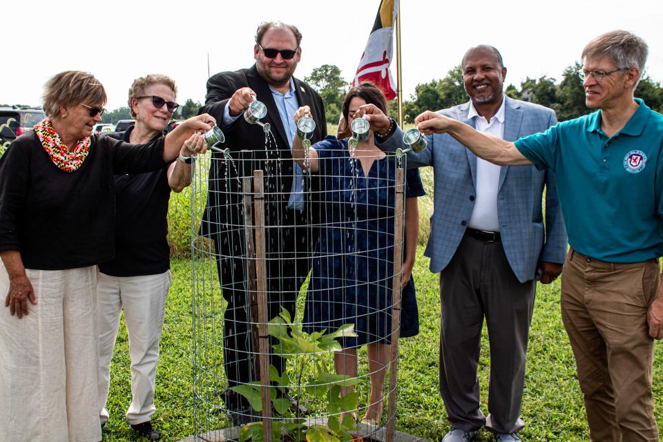Representatives of Talbot County and the Maryland Liberty Tree Project ceremonially water the newly dedicated tulip tree at Frederick Douglass Park on the Tuckahoe.