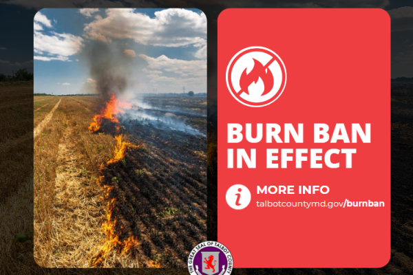 Talbot County Implements Burn Ban Effective June 21, 2024